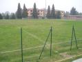 Taddei 3